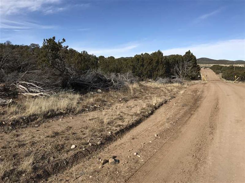 6 Acres with National Forest Access : White Oaks : Lincoln County : New Mexico