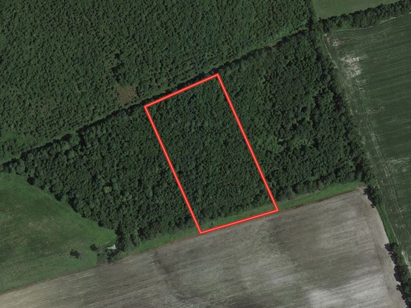 4.26 Acres of Recreational Land : Rose Hill : Duplin County : North Carolina
