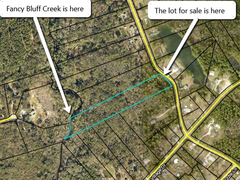 90K Riverfront Lot for Only 25K : Woodbine : Camden County : Georgia