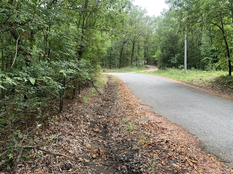 53 Acres Price Ford Road Cleburne : Heber Springs : Cleburne County : Arkansas