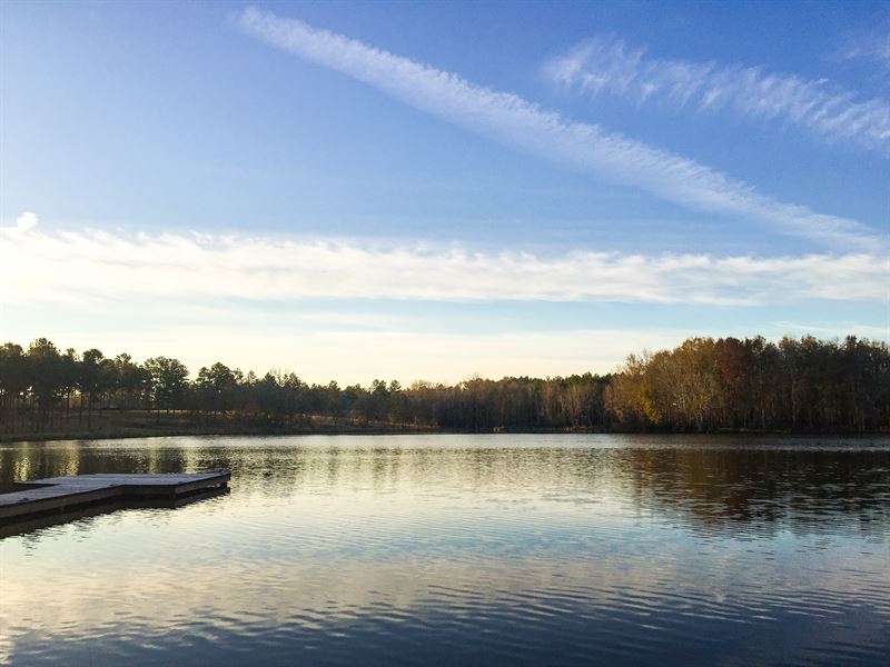 Bermingham Plantation : Union Springs : Bullock County : Alabama