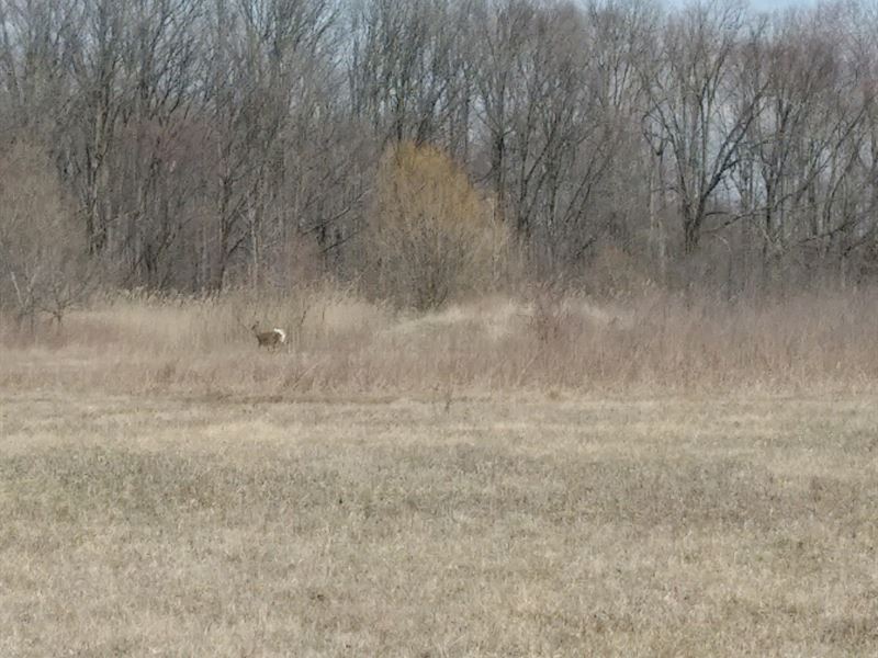 Partially Wooded Land for Sale Land for Sale by Owner in Chesterfield