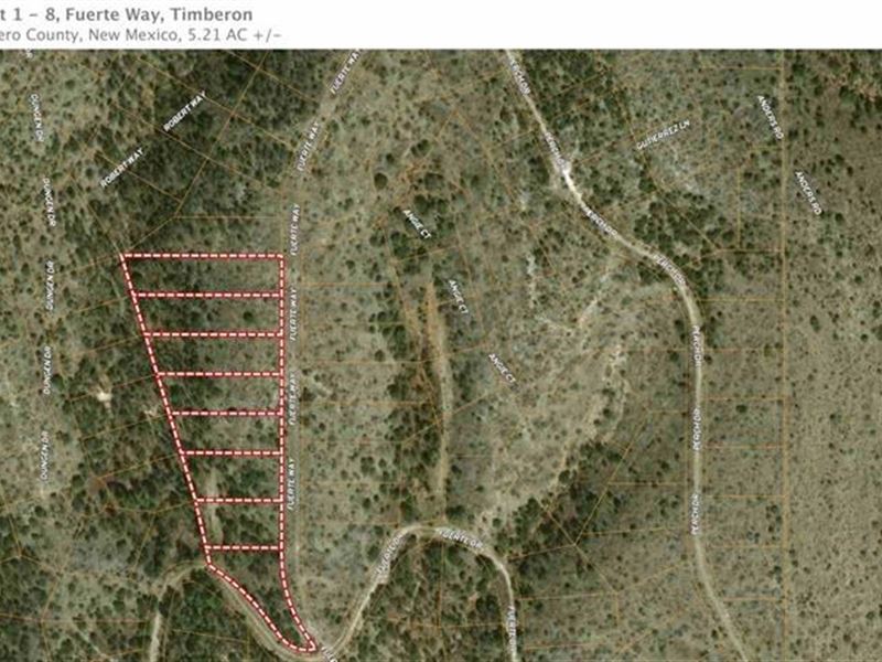 Hunting Land for Sale : Timberon : Otero County : New Mexico