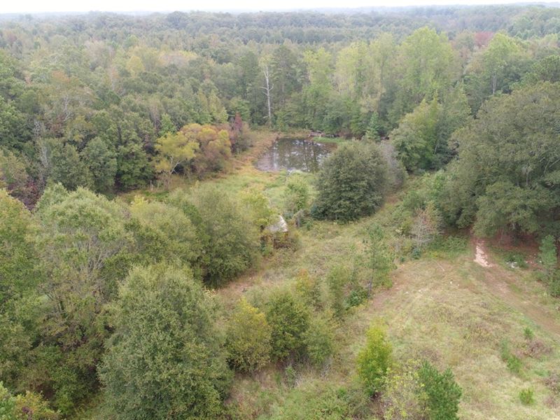 Acreage With Pond Land for Sale in Anderson, Anderson County, South