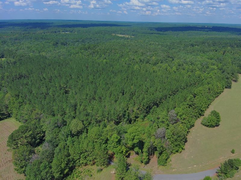 Lot 1 Gap Weekley Farms : Perdido : Baldwin County : Alabama