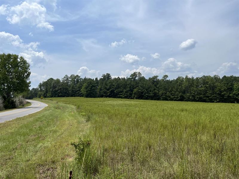 Lot 4 Gap Weekley Farms : Perdido : Baldwin County : Alabama