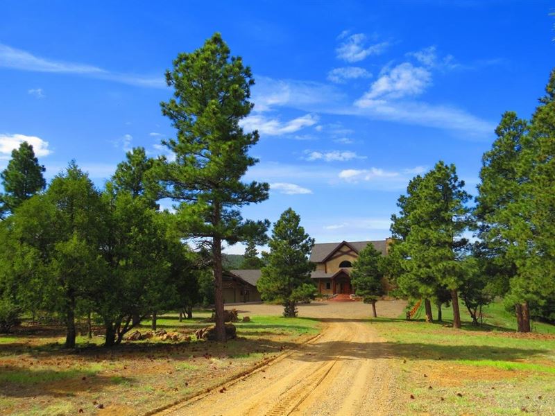 D60 Santa Fe Trail Ranch : Trinidad : Las Animas County : Colorado