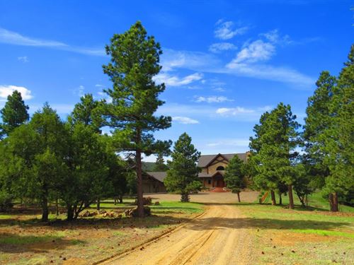 D60 Santa Fe Trail Ranch : Trinidad : Las Animas County : Colorado