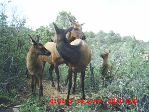 25 Santa Fe Trail Ranch : Trinidad : Las Animas County : Colorado