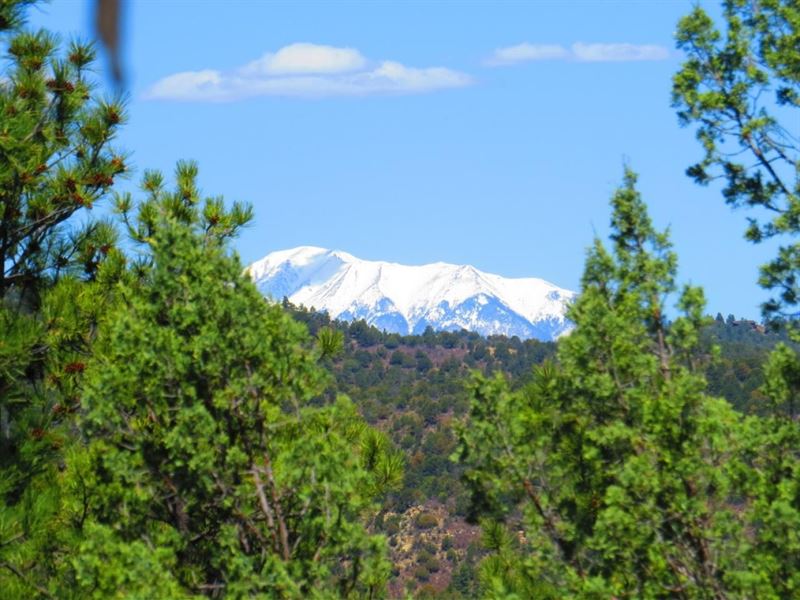 D35 Santa Fe Trail Ranch : Trinidad : Las Animas County : Colorado