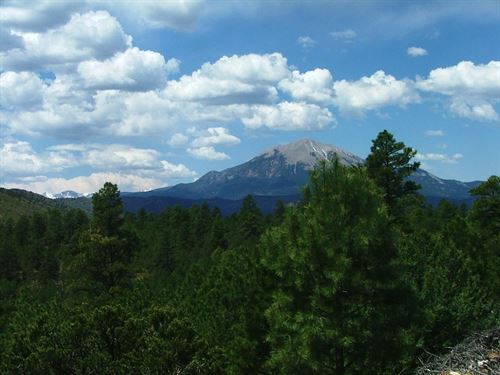167 Blackhawk Ranch : Walsenburg : Las Animas County : Colorado
