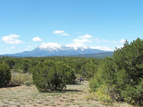 43 Silver Spurs Ranch : Walsenburg : Huerfano County : Colorado