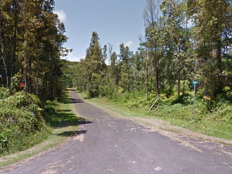Cozy Wooded Lot, Nanawale Est, HI : Pahoa : Hawaii County : Hawaii