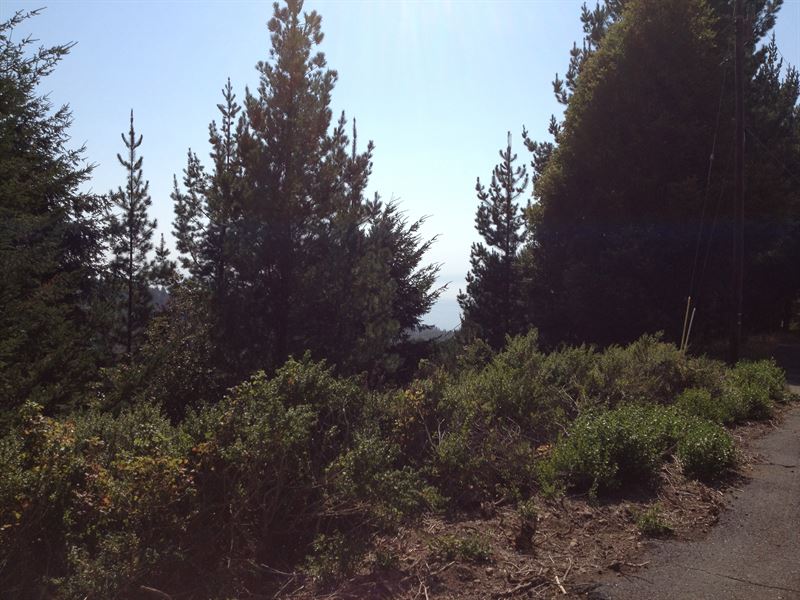 Shelter Cove, Humboldt County, CA : Shelter Cove : Humboldt County : California