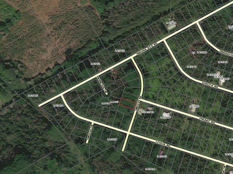 Beautiful Nanawale Estates, Hawaii : Pahoa : Hawaii County : Hawaii