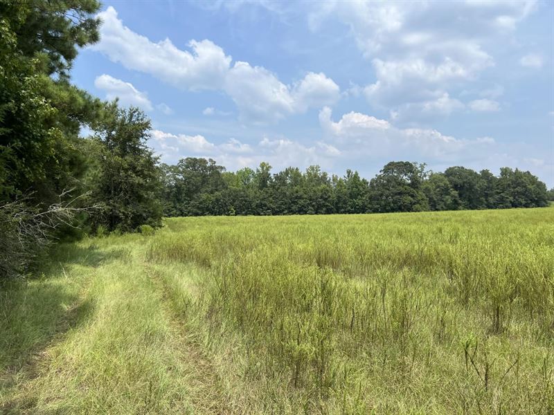 Lot 3 Gap Weekley Farms : Perdido : Baldwin County : Alabama