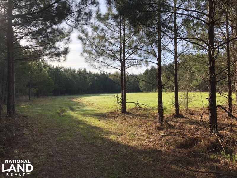 Timber Investment Hunting Homesite : Meridian : Lauderdale County : Mississippi