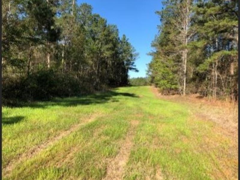 100 Acres in Attala County in Goodm : Goodman : Attala County : Mississippi