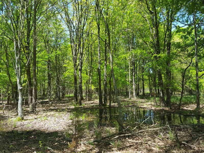 Country Home with Acreage for Sale : Atoka : Atoka County : Oklahoma