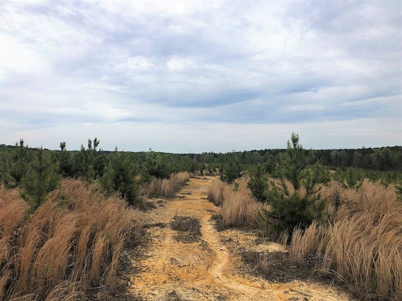 Atkins Tract : Biscoe : Montgomery County : North Carolina