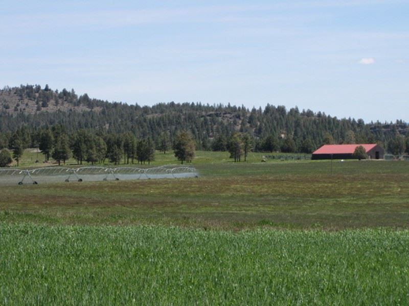 Sycan River Ranch : Beatty : Klamath County : Oregon