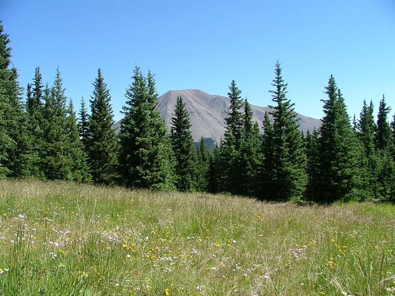 13 Timber Ridge at Cordova Pass : Stonewall : Las Animas County : Colorado