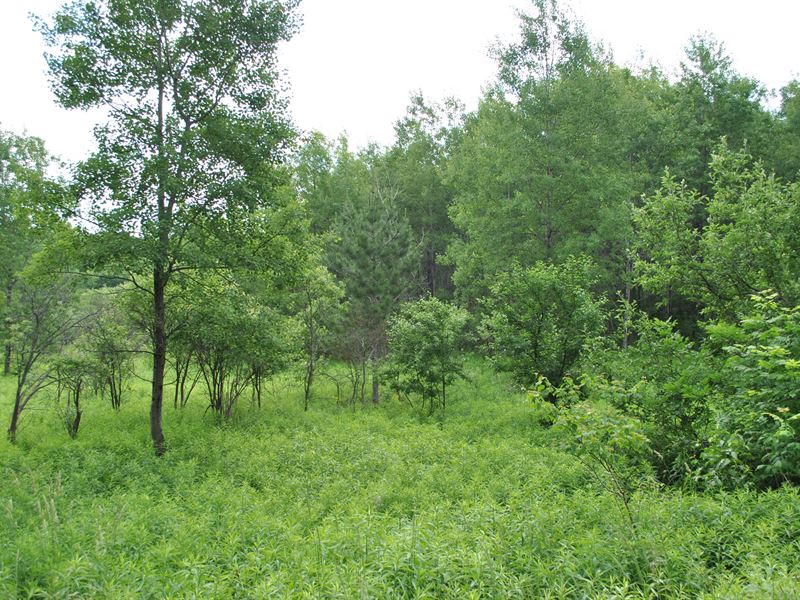Madison County Home Lot : Madison : Madison County : New York
