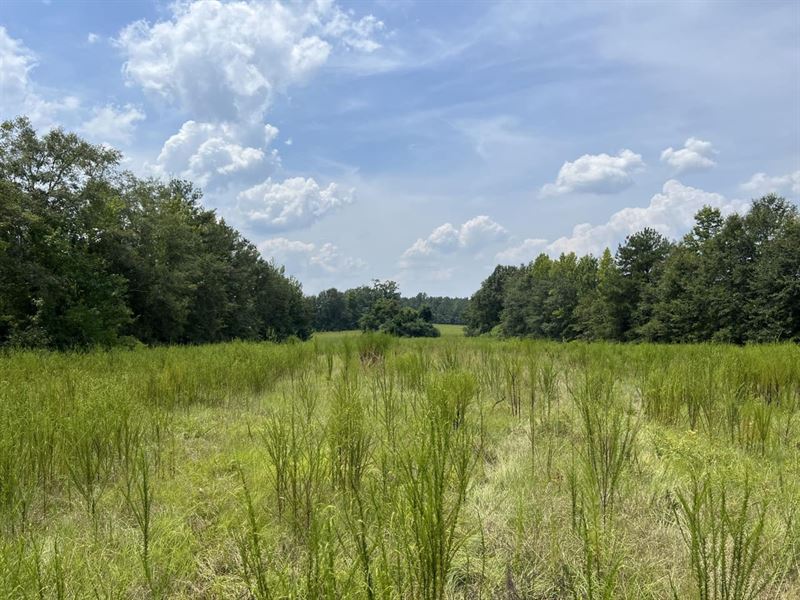 Lot 7 Gap Weekley Farms : Perdido : Baldwin County : Alabama