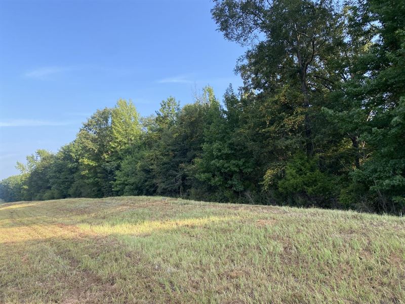 The Sweet Home Alabama 35.5 : Coker : Tuscaloosa County : Alabama