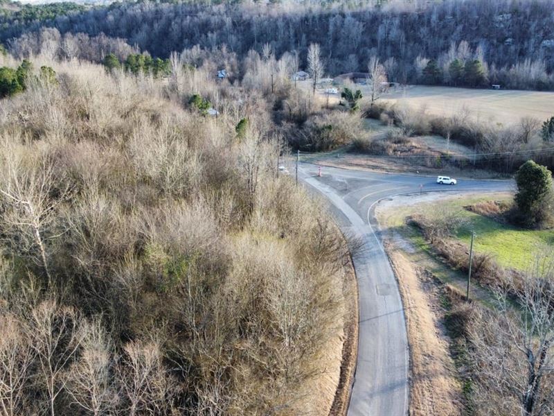 77 Acres in Walker County, AL : Empire : Walker County : Alabama