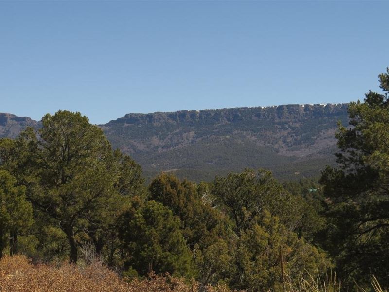 D71 Santa Fe Trail Ranch : Trinidad : Las Animas County : Colorado