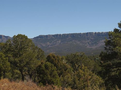 D71 Santa Fe Trail Ranch : Trinidad : Las Animas County : Colorado