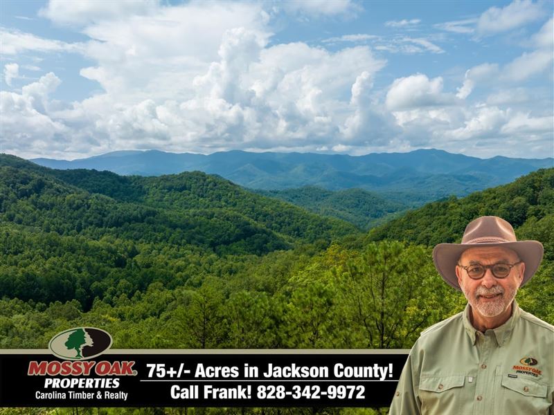 75 Acres in Whittier, NC : Whittier : Jackson County : North Carolina