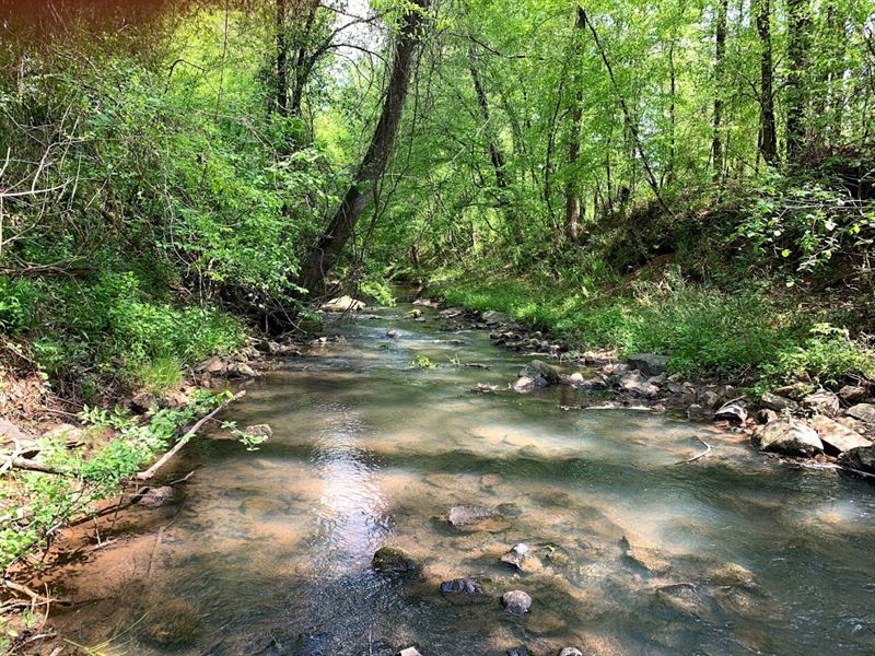Cedar Creek Plantation : Monticello : Jasper County : Georgia