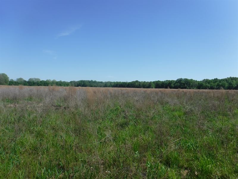 75 Acres Of Farmland in Hinds Co Ms : Bolton : Hinds County : Mississippi
