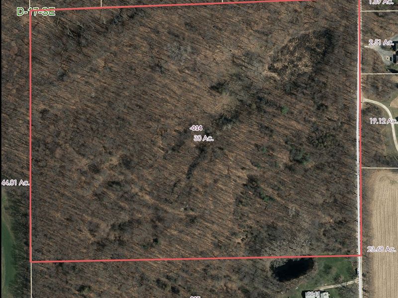 30 Wooded Acres, Dexter Schools : Dexter : Washtenaw County : Michigan