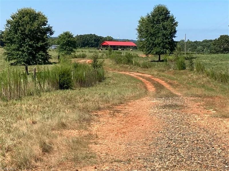 135 Acres Mabe Road, Star NC : Star : Montgomery County : North Carolina