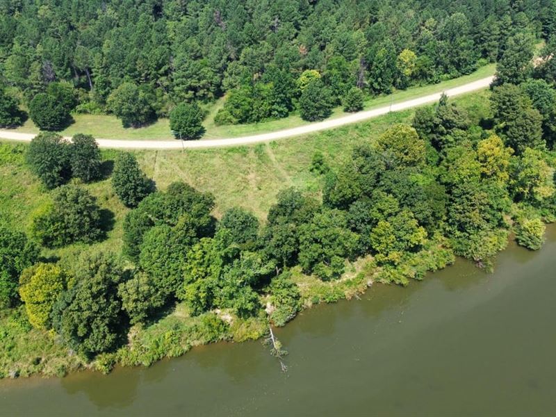Beautiful Adjoining Lots on The Tom : Warsaw : Sumter County : Alabama