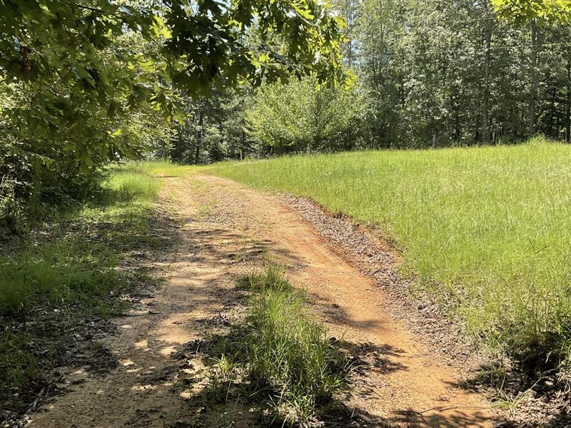Cabin in The Woods, 15 Acres, McSha : McShan : Pickens County : Alabama