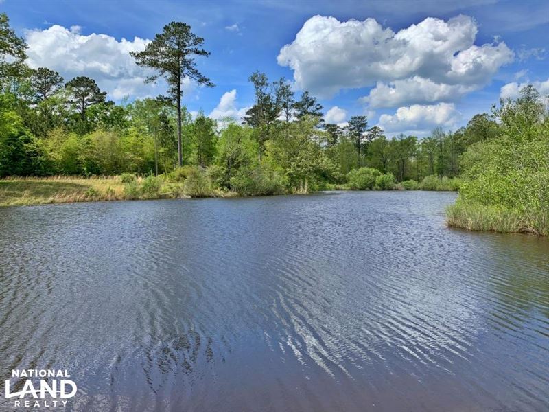Jachin Kinterbish Creek Lake & Hunt : Jachin : Choctaw County : Alabama