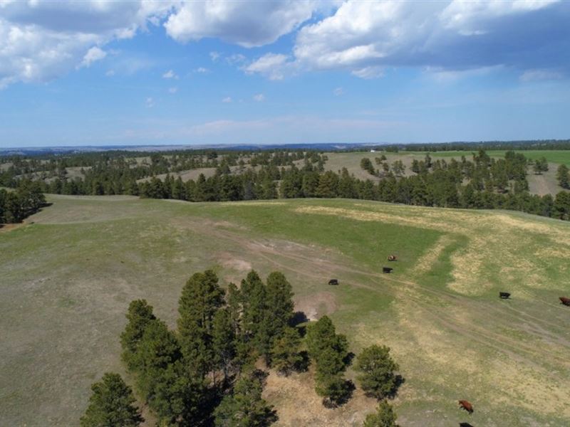 Pine Ridge Elk Ranch Parcel 1 Land for Sale in Crawford, Dawes County