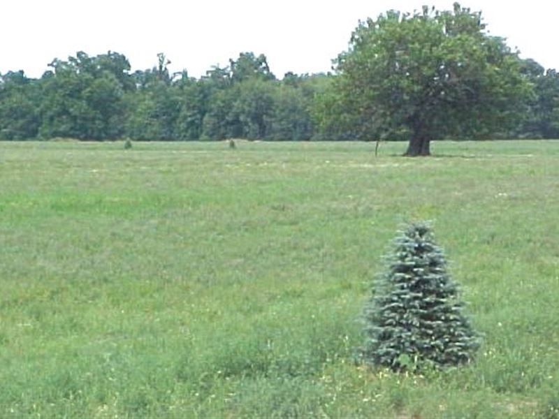 Country Building Sites, Manchester : Manchester : Washtenaw County : Michigan