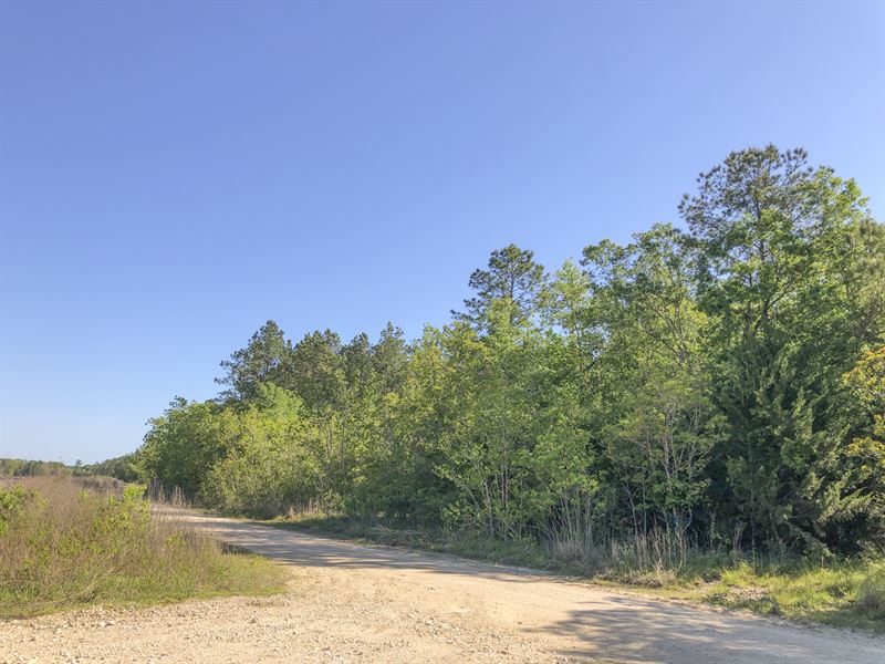 94 Acres Devers Woods : Devers : Liberty County : Texas
