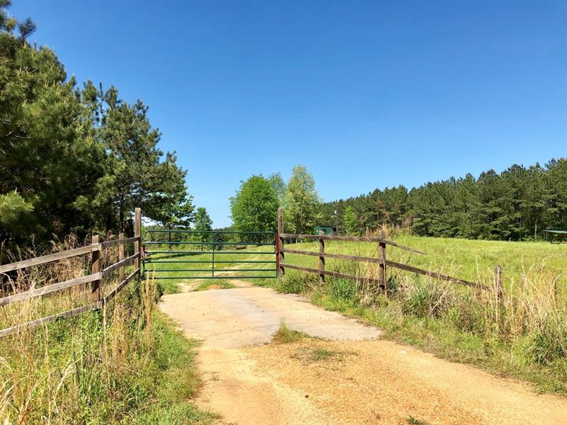 Rare 10 Ac with Camp : Woodville : Wilkinson County : Mississippi