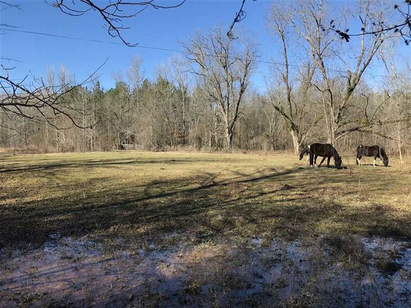 40 Acres in Sumter Co, AL on Pace Land for Sale in Belmont, Sumter