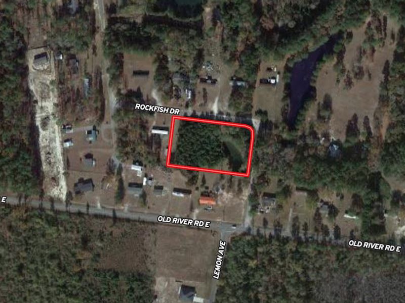 1.5 Acres of Resi : Manning : Clarendon County : South Carolina
