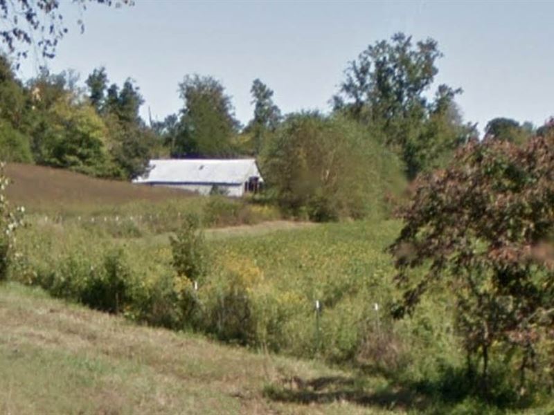 98 Acres with Barn, Pond, Fencing : Atwood : Carroll County : Tennessee