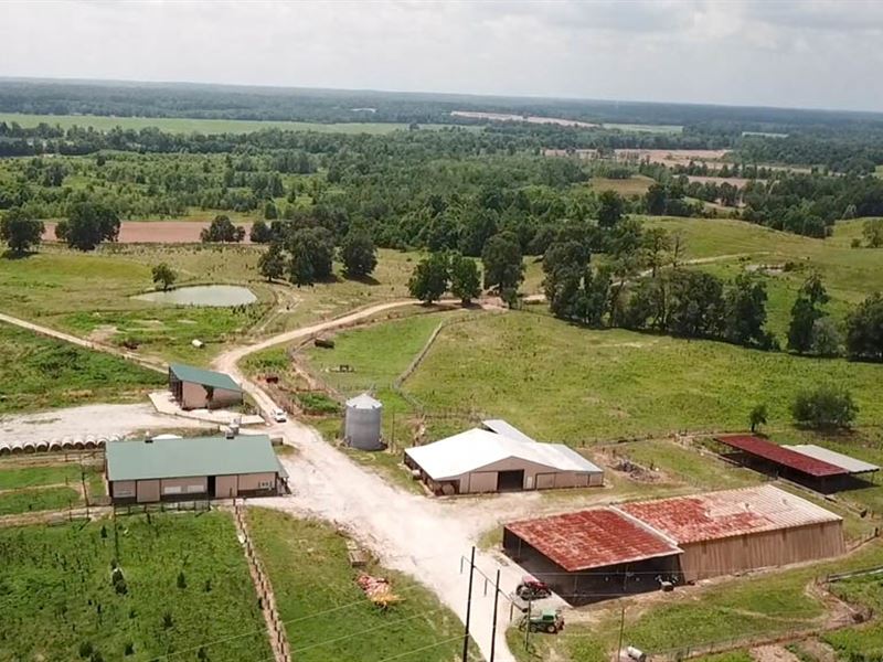 948.4 Acre Working Ranch : Atwood : Carroll County : Tennessee