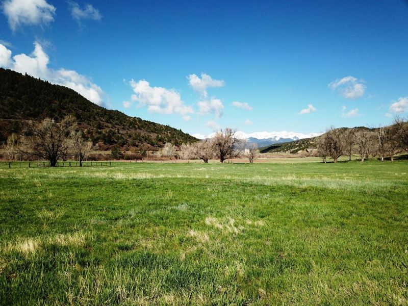 3 Vigil Ranch : Weston : Las Animas County : Colorado