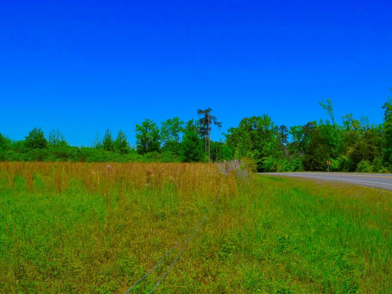 Arkadelphia Land, Manchester, Joan : Arkadelphia : Clark County : Arkansas